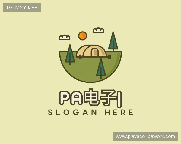 解读PA电子集团